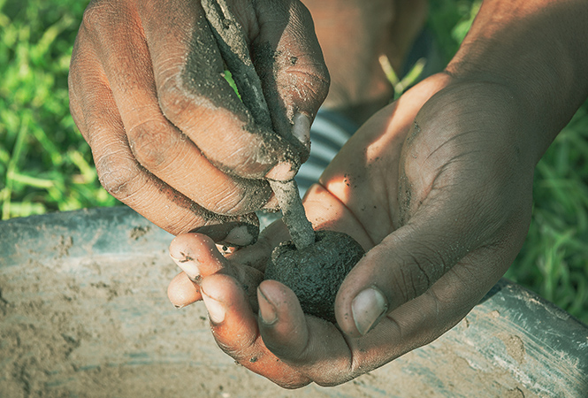 Staying carbon neutral by planting trees