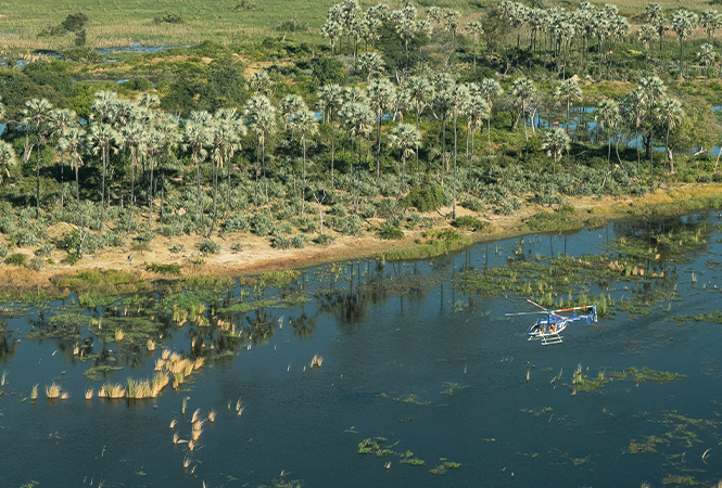 Air to Air during an Okavango gin experience on safari