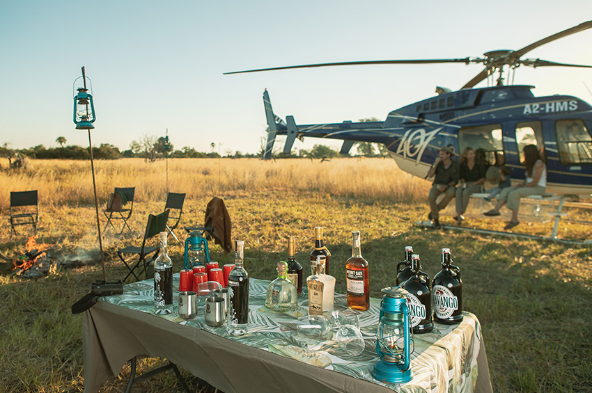 Craft Gin and Beer Okavango style