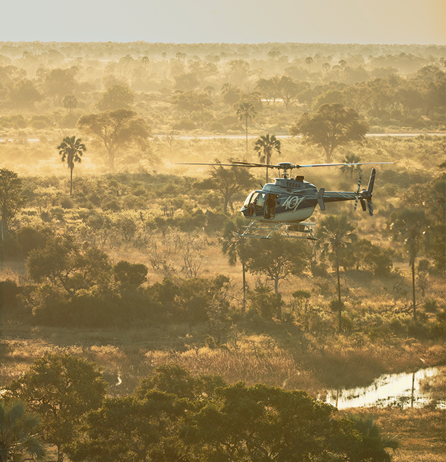 Helicopter safaris with helicopter horizons